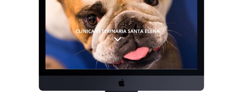 Web Clínica Veterinaria Santa Elena