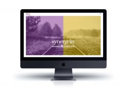 Web Synergein