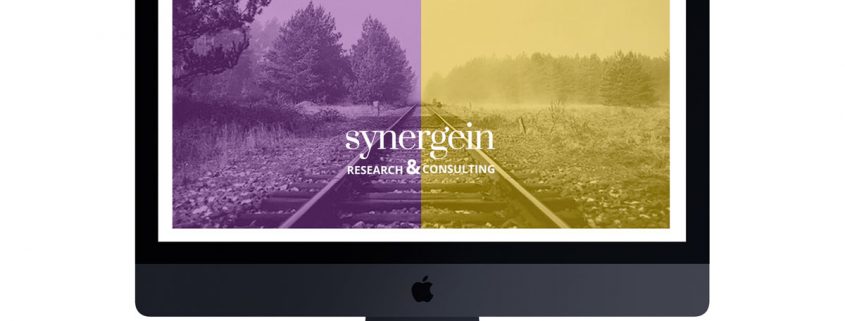 Web Synergein